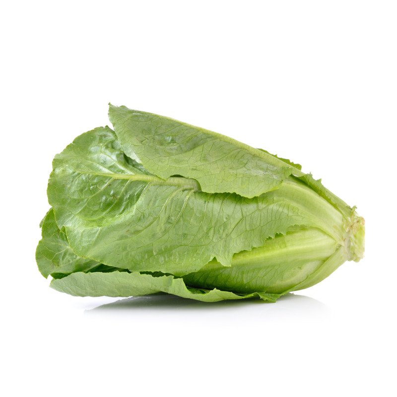 Lettuce