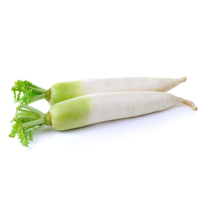 Daikon Radish