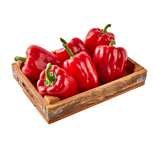 red bell pepper