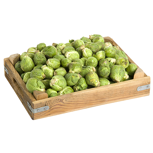 Brussels Sprouts