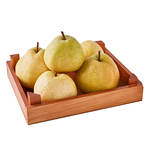 Bartlett Pears