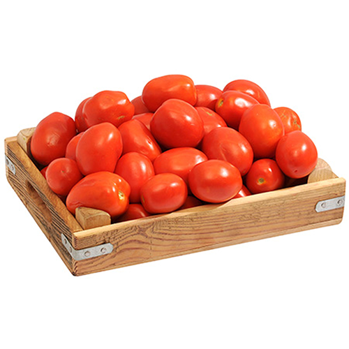 Roma Tomato