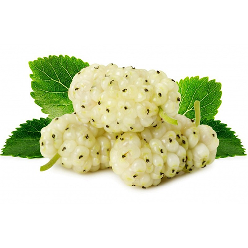 White Mulberry