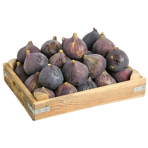 Black Fig