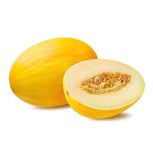 Canary Melon