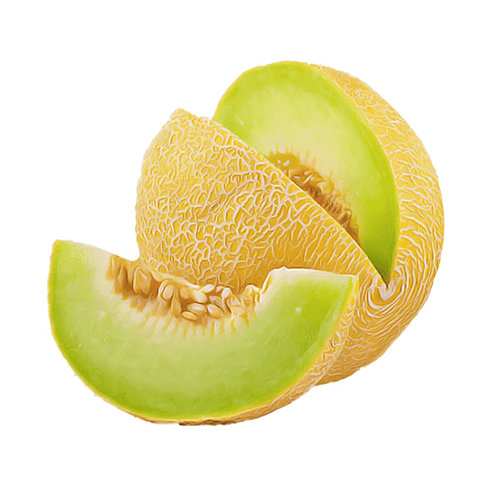 Galia Melon