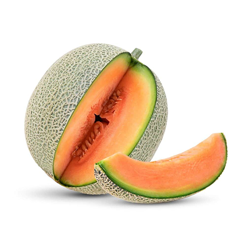 Cantaloupe Melon