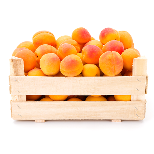 Blenheim apricot