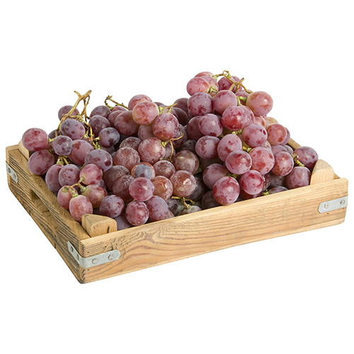 Purple Grapes