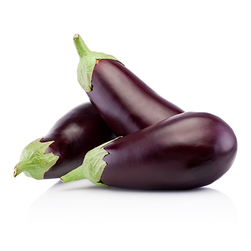 Bulb Eggplant