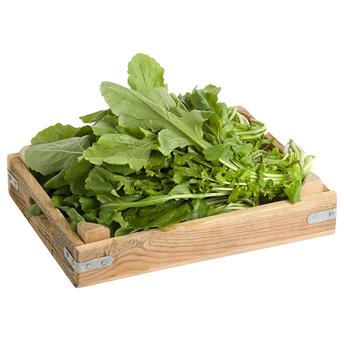 Arugula