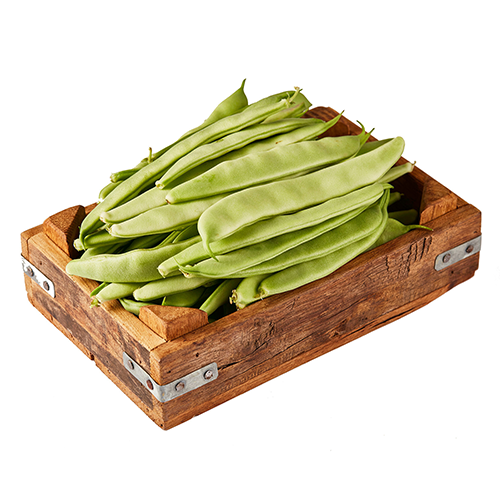 Romano Beans