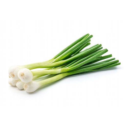 Scallion