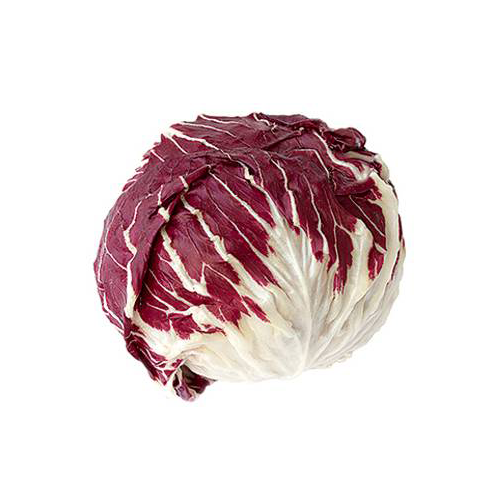 Radicchio