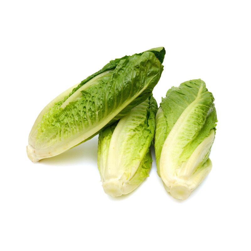 Lettuce Romaine Hearts