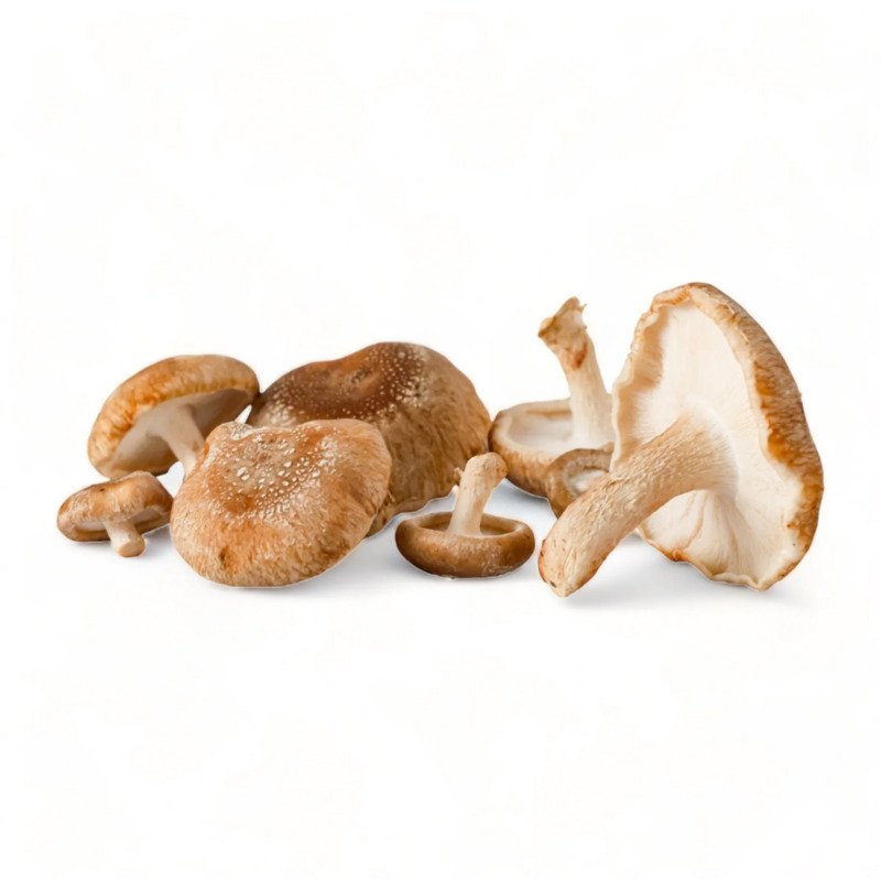 Shiitake Mushroom