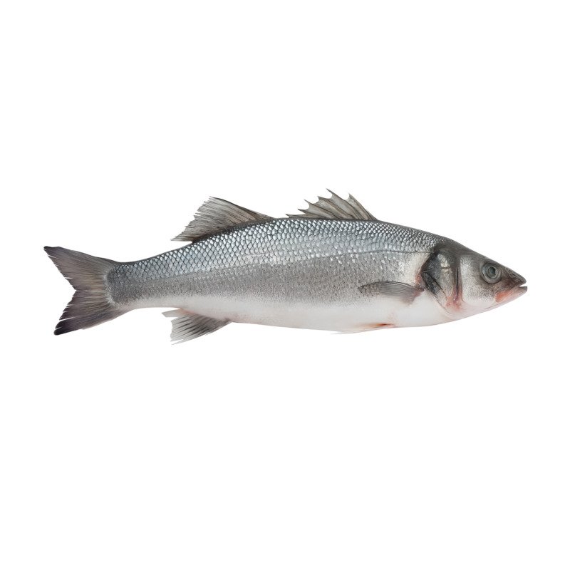 Branzino