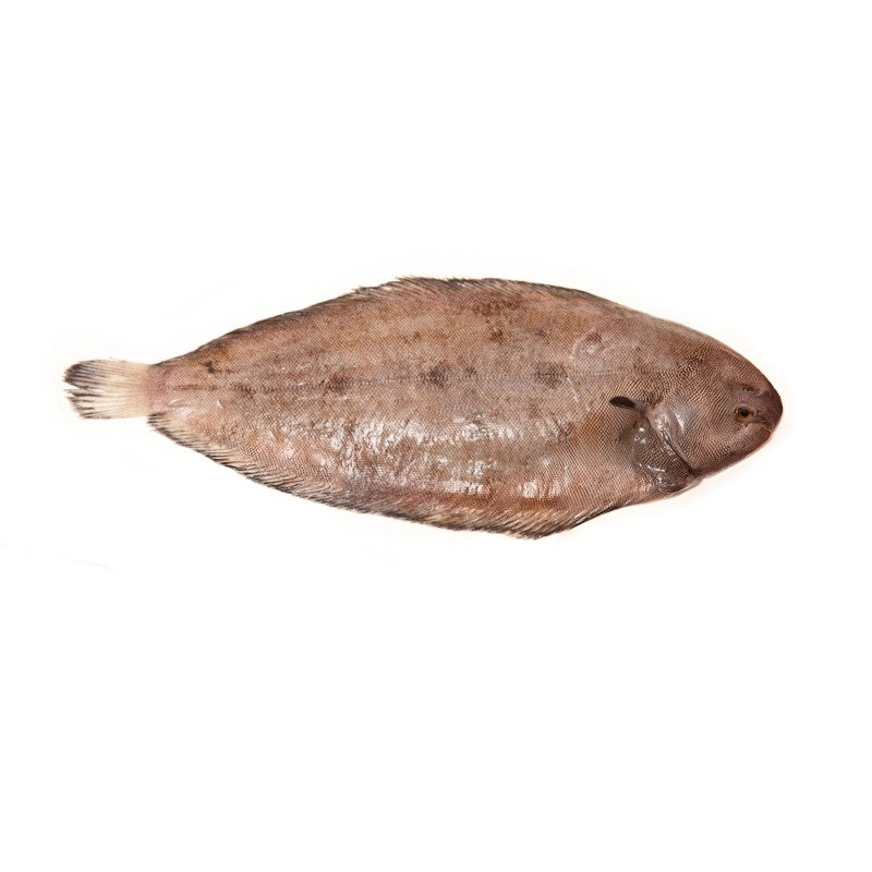 Dover Sole