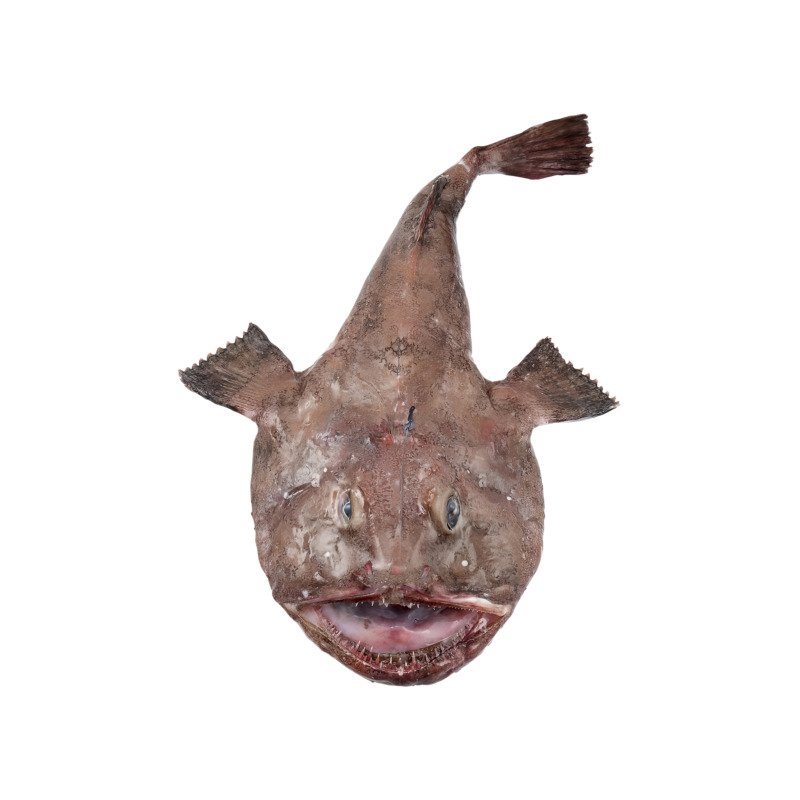 Monkfish