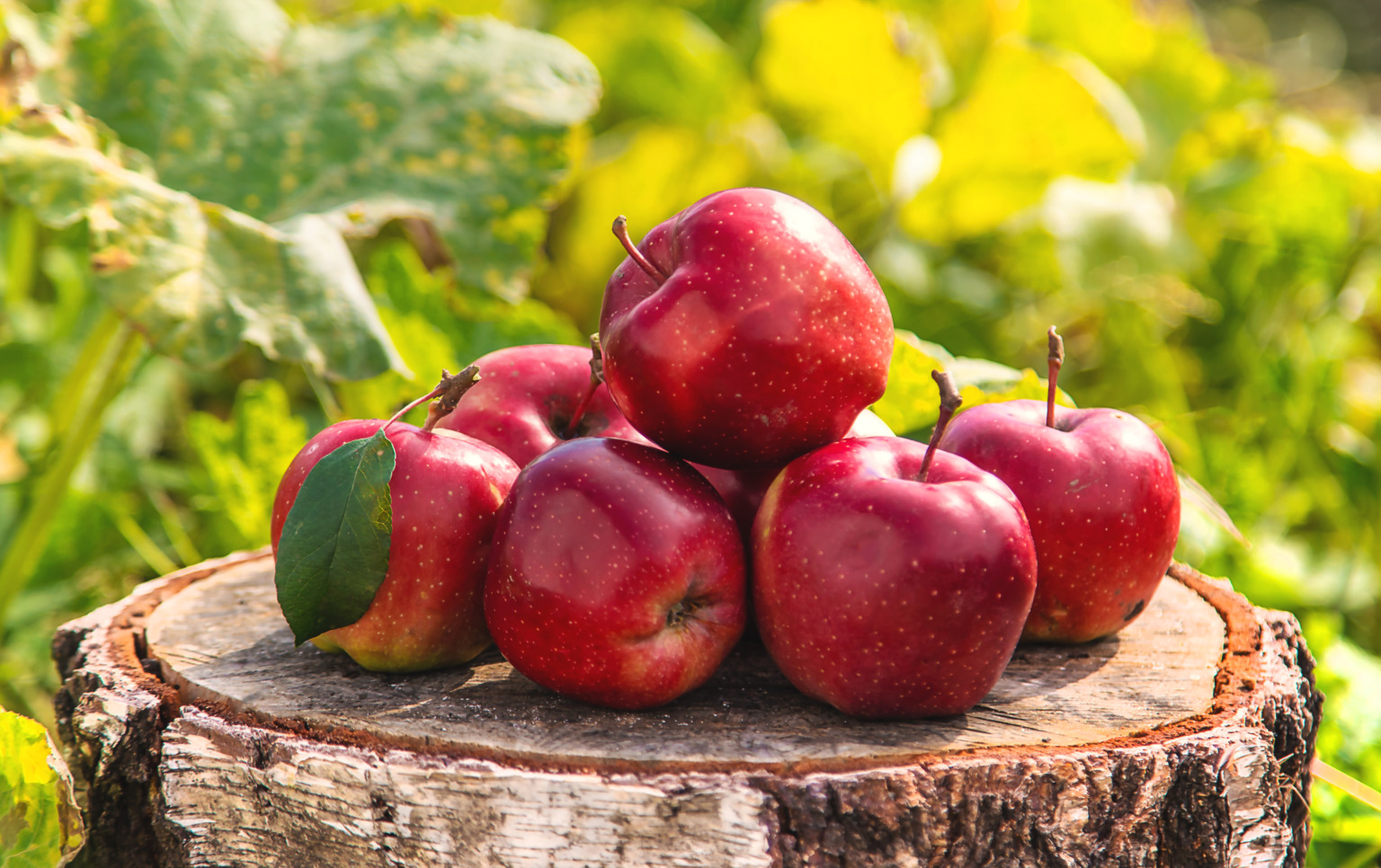 Apples & Synthesizers main image 0