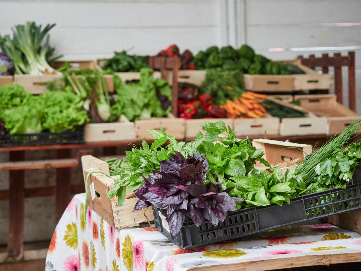 Vegetable supplier