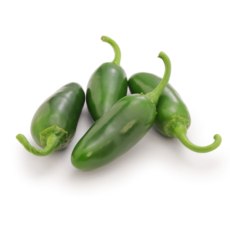 Jalapeno Pepper