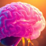 Sugar Brain Immunity