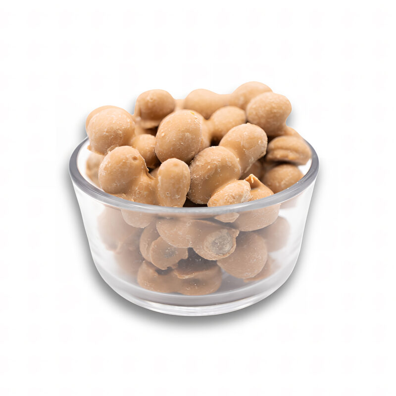 Peanut Butter Chocolaty Double Dipped Peanuts_x4